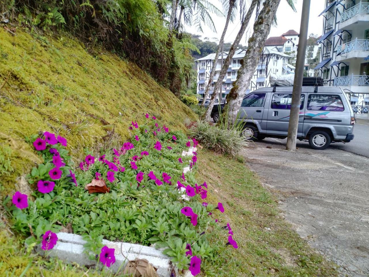 Desa Anthurium Apartment Cameron Highlands Exterior photo