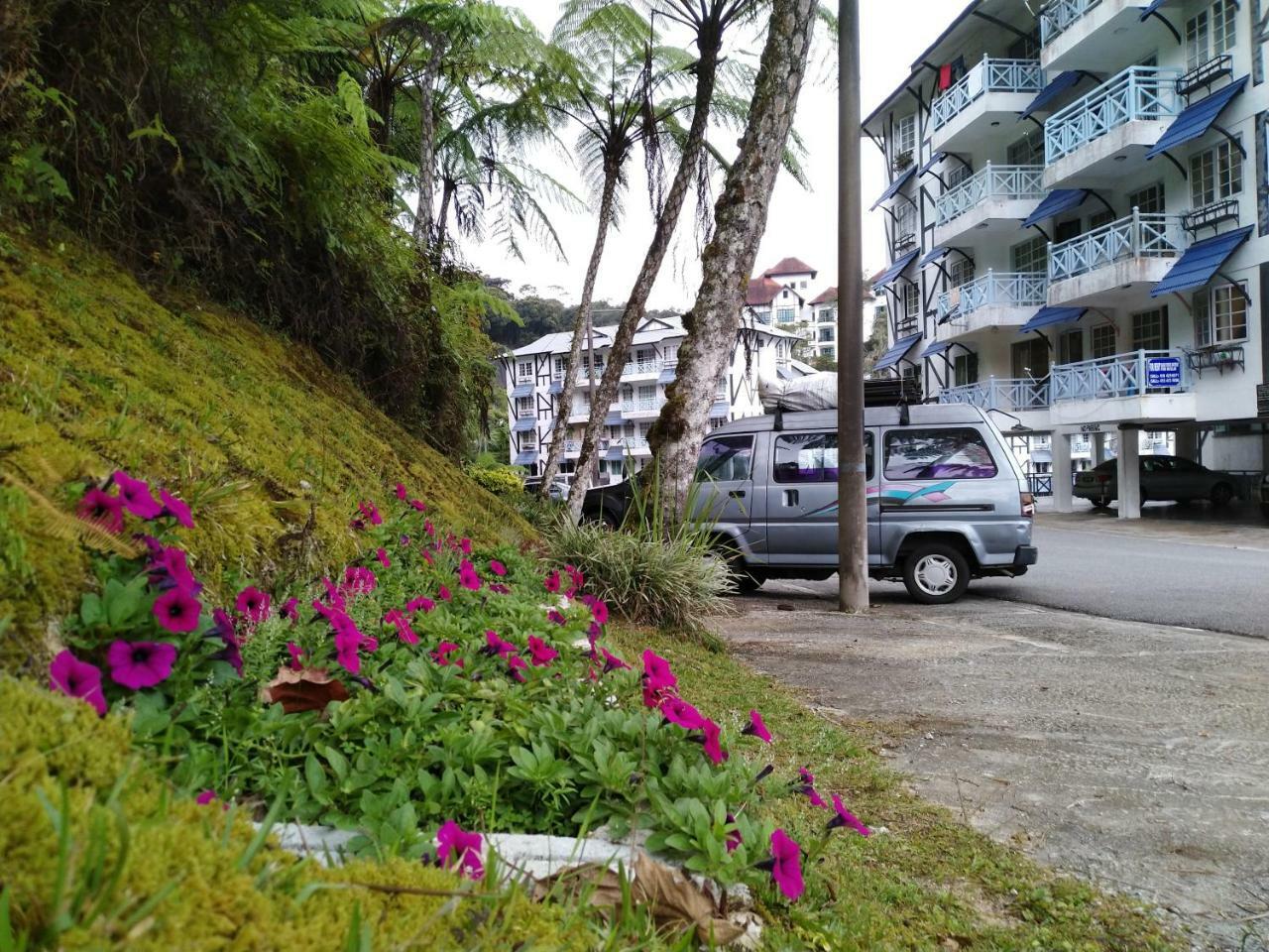 Desa Anthurium Apartment Cameron Highlands Exterior photo