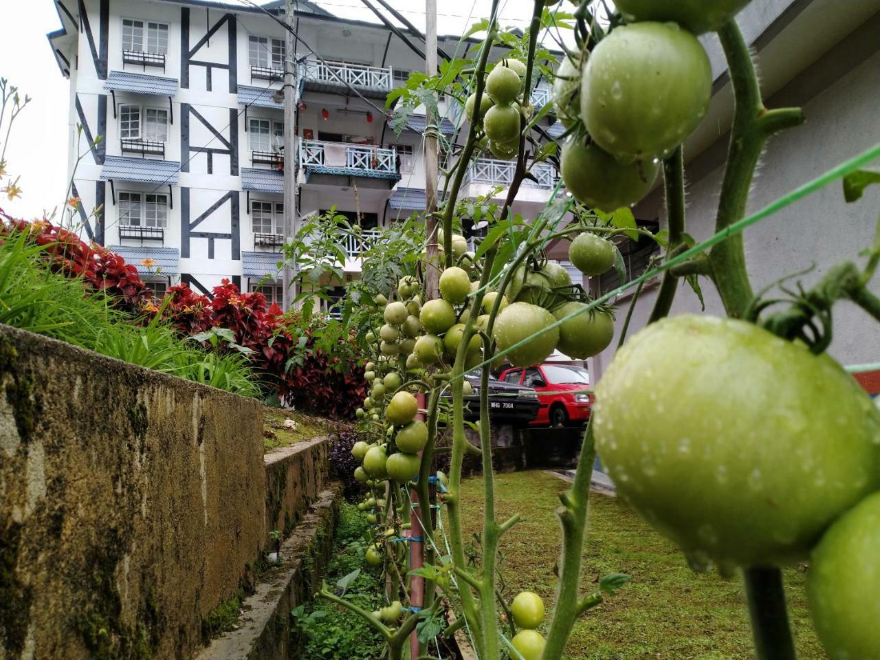 Desa Anthurium Apartment Cameron Highlands Exterior photo