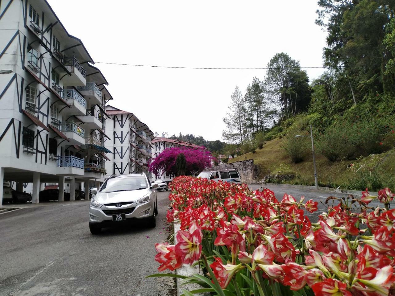 Desa Anthurium Apartment Cameron Highlands Exterior photo