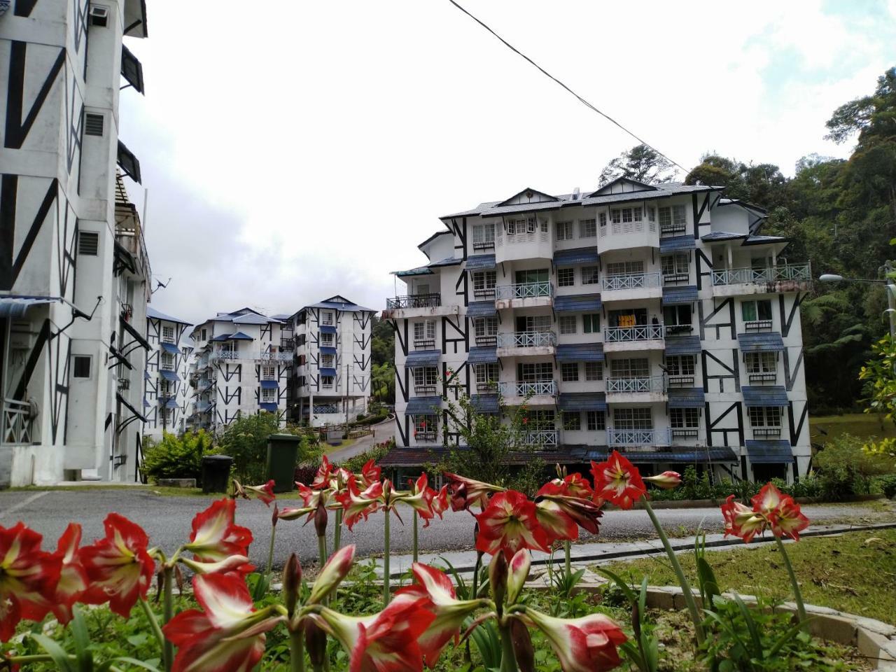 Desa Anthurium Apartment Cameron Highlands Exterior photo