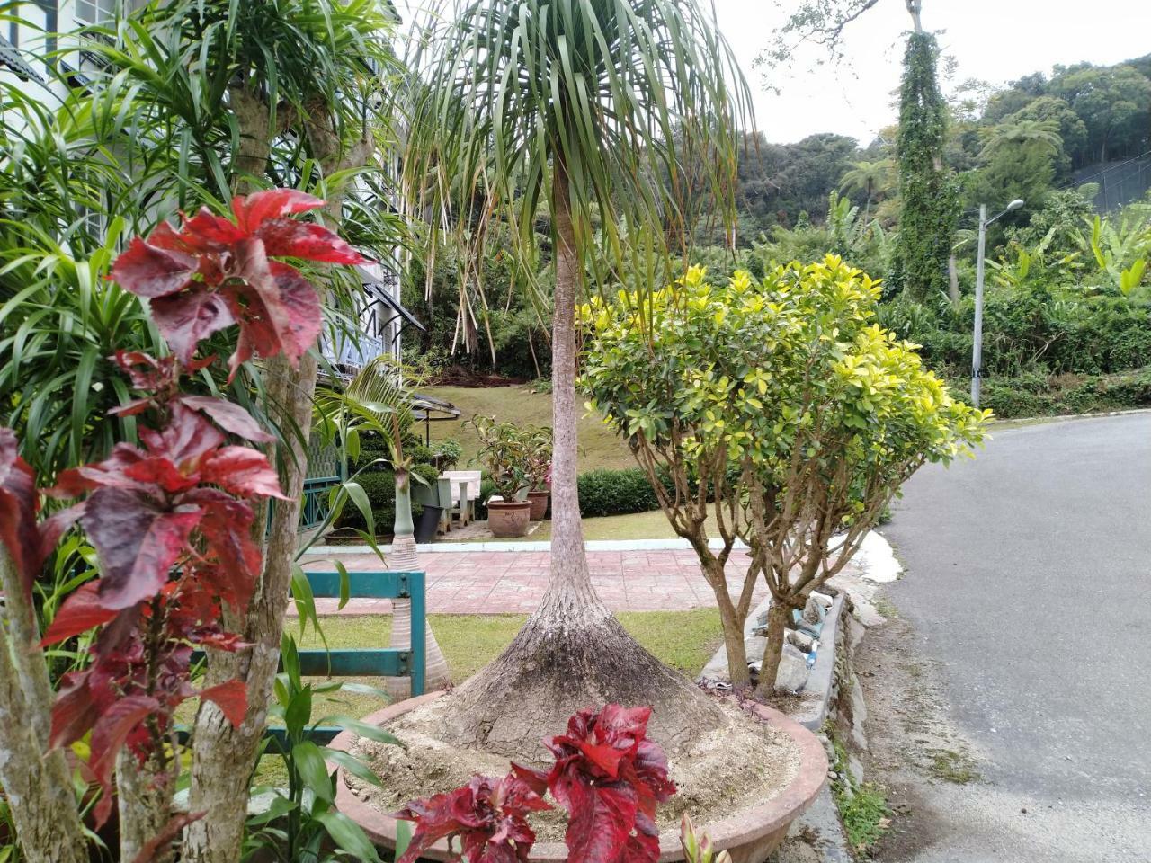 Desa Anthurium Apartment Cameron Highlands Exterior photo